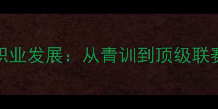 图片 WENDELL球员职业发展：从青训到顶级联赛的逆袭之路2
