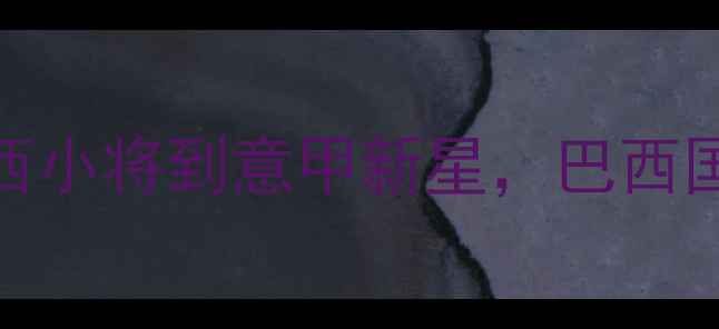 图片 WESLEY：从巴西小将到意甲新星，巴西国脚的逆袭之路