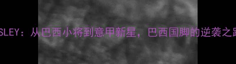 图片 WESLEY：从巴西小将到意甲新星，巴西国脚的逆袭之路1