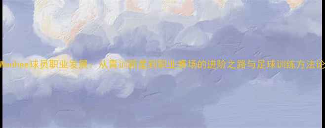 图片 Wonhee球员职业发展：从青训新星到职业赛场的进阶之路与足球训练方法论