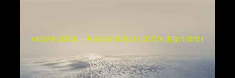 图片 XGB羽毛球学院：专业培训体系助力学员快速提升球技1