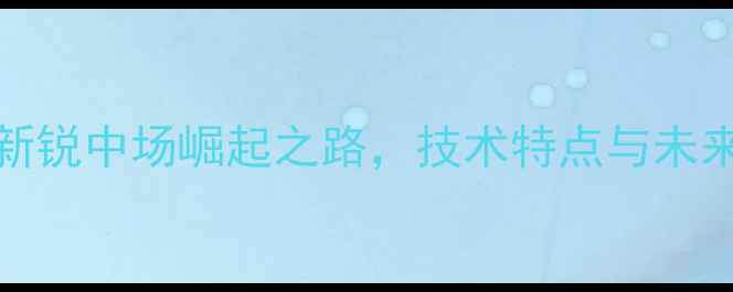 图片 ayovi球员技术分析：英超新锐中场崛起之路，技术特点与未来展望（附赛季数据报告）1