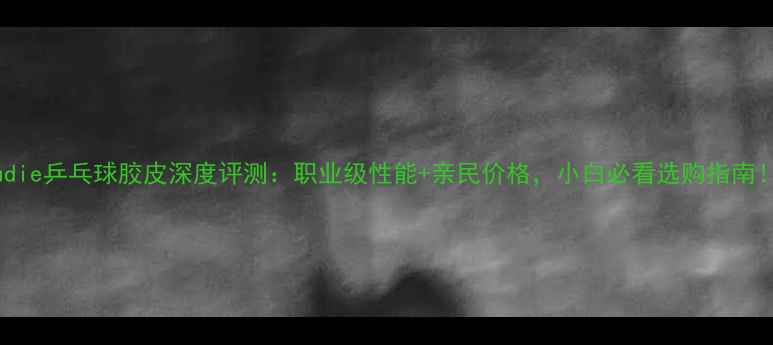 图片 hudie乒乓球胶皮深度评测：职业级性能+亲民价格，小白必看选购指南！2
