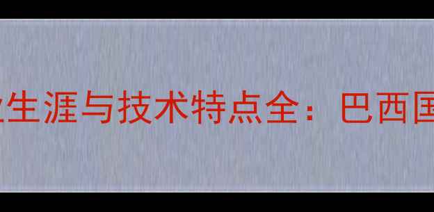 图片 nilmar球员职业生涯与技术特点全：巴西国脚的足球世界1