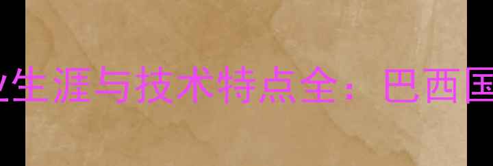 图片 nilmar球员职业生涯与技术特点全：巴西国脚的足球世界2