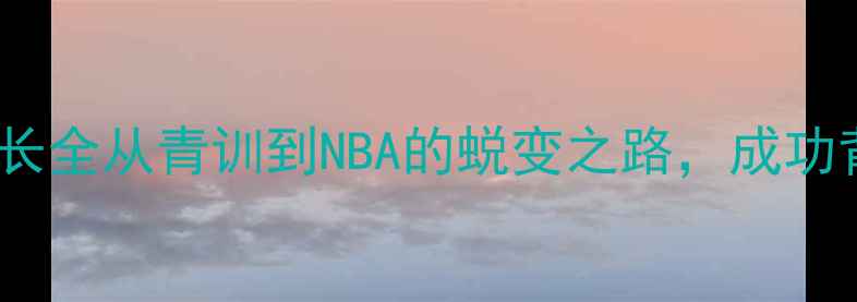 图片 rivers球员职业成长全从青训到NBA的蜕变之路，成功背后的6大核心要素