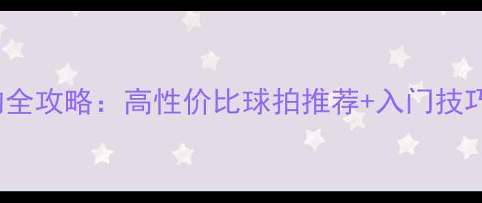 图片 silik羽毛球选购全攻略：高性价比球拍推荐+入门技巧，新手必看！🏸