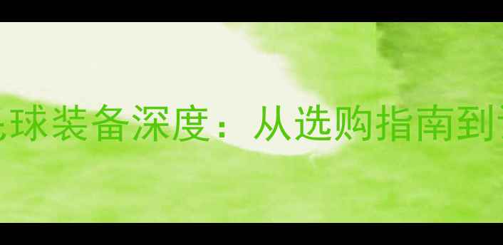 图片 yyas05专业羽毛球装备深度：从选购指南到训练技巧全攻略