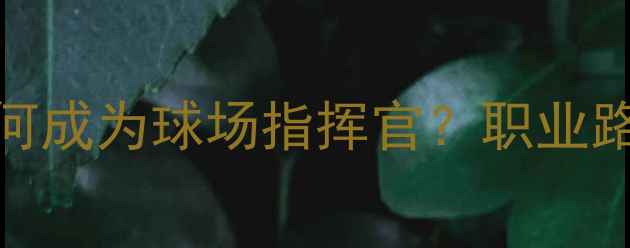 图片 ⚽10号球员全：边锋如何成为球场指挥官？职业路径+训练技巧大公开🔥1