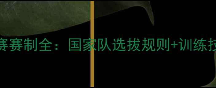 图片 ✨乒乓球选调赛赛制全：国家队选拔规则+训练技巧大公开！🔥