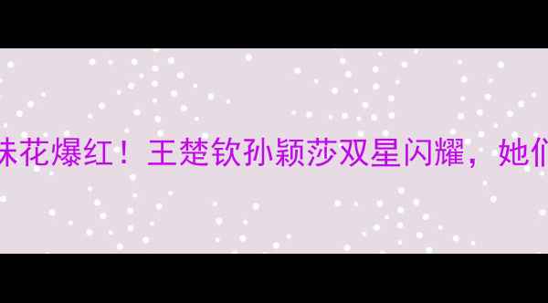 图片 ✨国乒双胞胎姐妹花爆红！王楚钦孙颖莎双星闪耀，她们如何统治赛场🔥