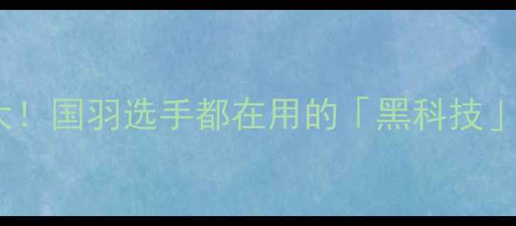 图片 ✨国家队同款战拍大！国羽选手都在用的「黑科技」球拍测评全公开🔥2
