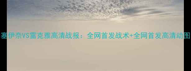 图片 ✨塞伊奈VS雷克雅高清战报：全网首发战术+全网首发高清动图🔥
