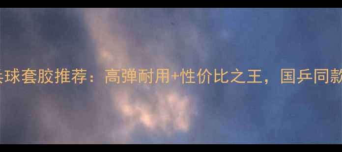 图片 ✨天宫乒乓球套胶推荐：高弹耐用+性价比之王，国乒同款胶皮测评1