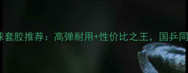 图片 ✨天宫乒乓球套胶推荐：高弹耐用+性价比之王，国乒同款胶皮测评2