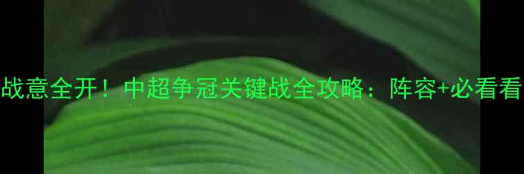 图片 ✨山东鲁能今晚战意全开！中超争冠关键战全攻略：阵容+必看看点+观赛指南💥2