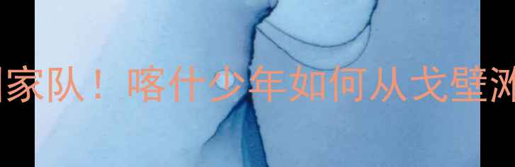 图片 ✨新疆球员逆袭国家队！喀什少年如何从戈壁滩走向国际赛场🌟1