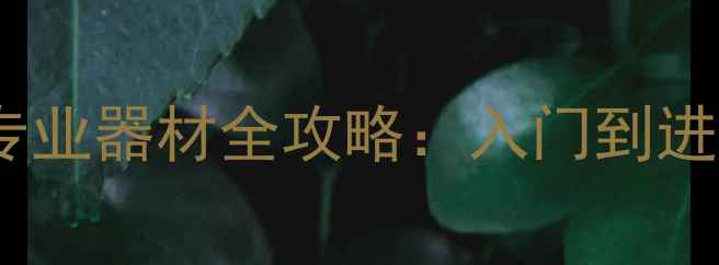 图片 ✨最新乒乓球专业器材全攻略：入门到进阶避坑指南💥1