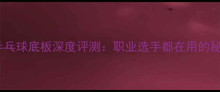 图片 ✨波尔精神乒乓球底板深度评测：职业选手都在用的秘密武器！🔥2