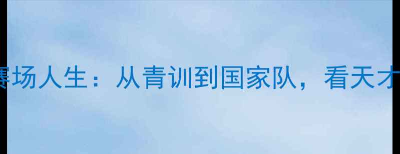 图片 ✨美国弗莱克斯球员的赛场人生：从青训到国家队，看天才如何用汗水铸就荣耀✨1