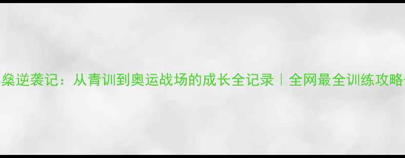 图片 ✨羽毛球国家队林燊逆袭记：从青训到奥运战场的成长全记录｜全网最全训练攻略+职业规划指南✨2