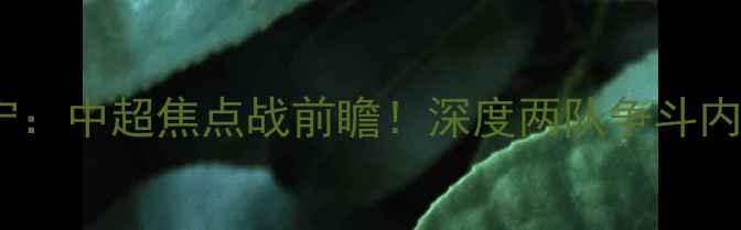 图片 ✨贵州智诚VS江苏苏宁：中超焦点战前瞻！深度两队争斗内幕与球迷必看看点🔥2