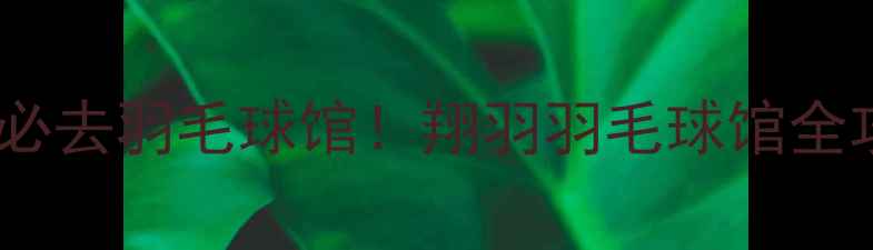 图片 ✨银川必去羽毛球馆！翔羽羽毛球馆全攻略🏸1