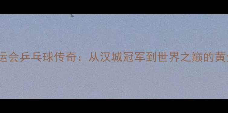 图片 ✨首尔奥运会乒乓球传奇：从汉城冠军到世界之巅的黄金时代🏆2