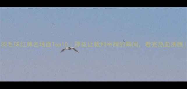 图片 ✨🔥羽毛球红牌名场面Top10｜那些让裁判举牌的瞬间，看完热血沸腾！💥2