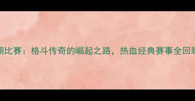 图片 一龙早期比赛：格斗传奇的崛起之路，热血经典赛事全回顾！🥊🔥