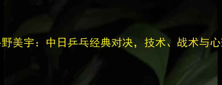 图片 丁宁VS平野美宇：中日乒乓经典对决，技术、战术与心理博弈全