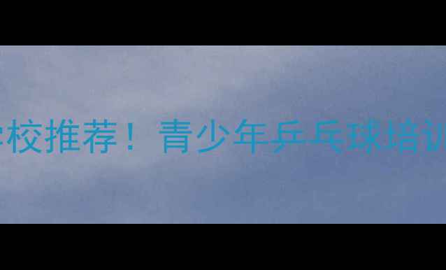 图片 丁松乒乓球俱乐部：专业培训学校推荐！青少年乒乓球培训、成人课程、赛事指导全攻略2