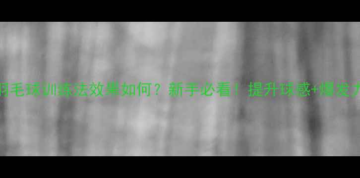 图片 三段式羽毛球训练法效果如何？新手必看！提升球感+爆发力全攻略