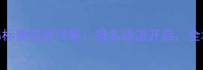 图片 三水国际踏板车锦标赛规程详解：报名通道开启，全城竞逐速度与激情