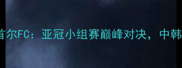 图片 上海上港VS韩国首尔FC：亚冠小组赛巅峰对决，中韩足球博弈焦点全1
