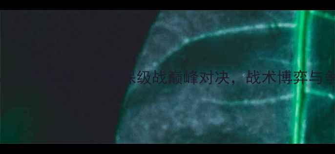 图片 上海上港vs延边龙鼎：中超保级战巅峰对决，战术博弈与争胜关键全