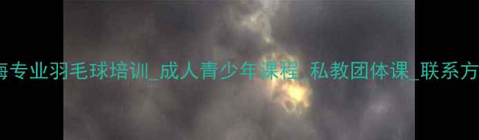 图片 上海专业羽毛球培训_成人青少年课程_私教团体课_联系方式2