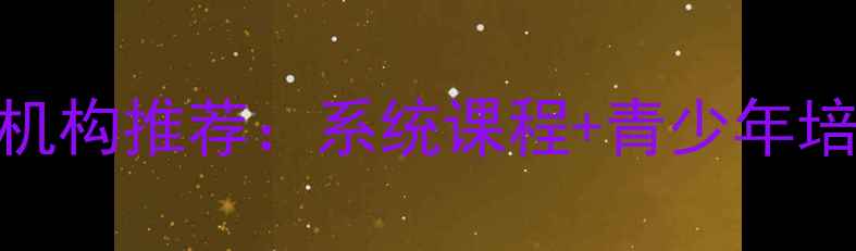 图片 上海专业羽毛球训练机构推荐：系统课程+青少年培训+成人健身全攻略1