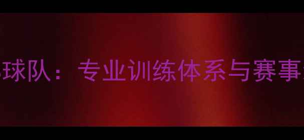 图片 上海乒乓球俱乐部球队：专业训练体系与赛事经验打造精英团队