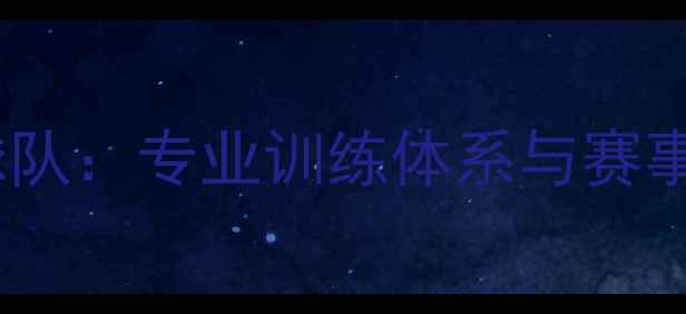 图片 上海乒乓球俱乐部球队：专业训练体系与赛事经验打造精英团队2