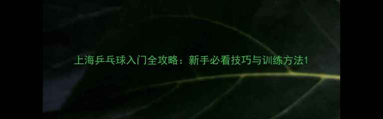 图片 上海乒乓球入门全攻略：新手必看技巧与训练方法1