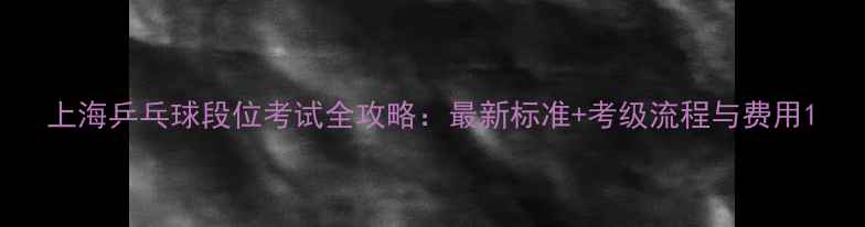 图片 上海乒乓球段位考试全攻略：最新标准+考级流程与费用1