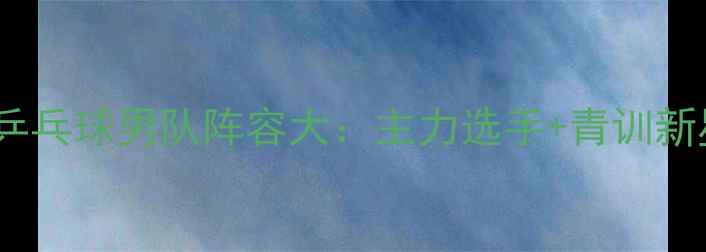 图片 上海乒乓球男队阵容大：主力选手+青训新星全1