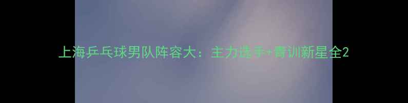 图片 上海乒乓球男队阵容大：主力选手+青训新星全2