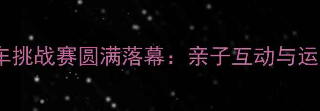 图片 上海国际儿童平衡车挑战赛圆满落幕：亲子互动与运动启蒙的完美结合1