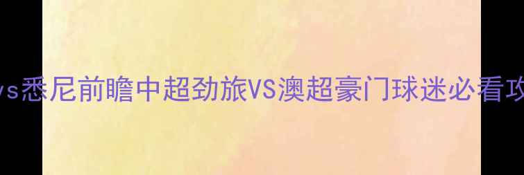 图片 上海申花vs悉尼前瞻中超劲旅VS澳超豪门球迷必看攻防战术！