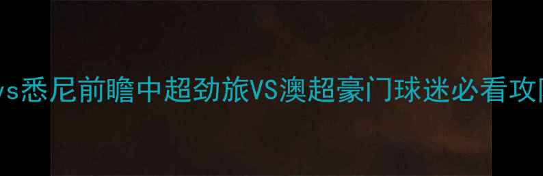 图片 上海申花vs悉尼前瞻中超劲旅VS澳超豪门球迷必看攻防战术！1