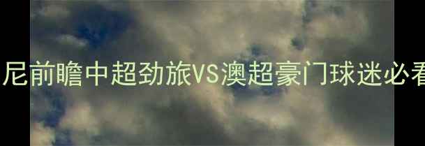 图片 上海申花vs悉尼前瞻中超劲旅VS澳超豪门球迷必看攻防战术！2