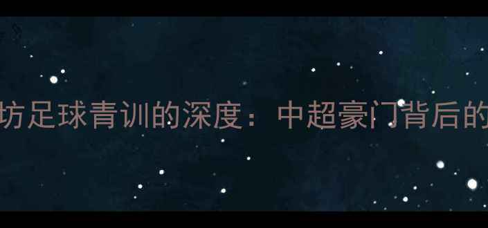 图片 上海申花与廊坊足球青训的深度：中超豪门背后的地域人才密码
