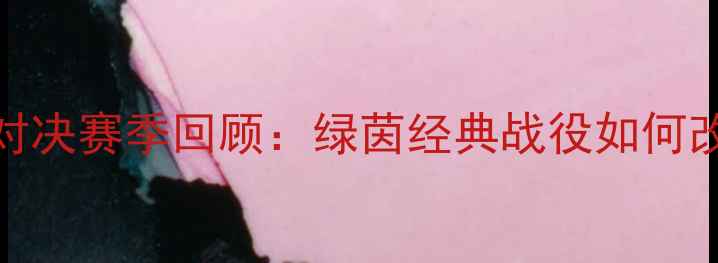 图片 上海申花巅峰对决赛季回顾：绿茵经典战役如何改写中超历史？